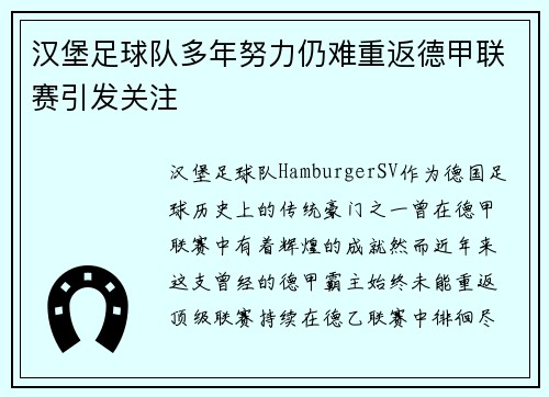 汉堡足球队多年努力仍难重返德甲联赛引发关注 汉堡足球队多年努力仍难重返德甲联赛引发关注
